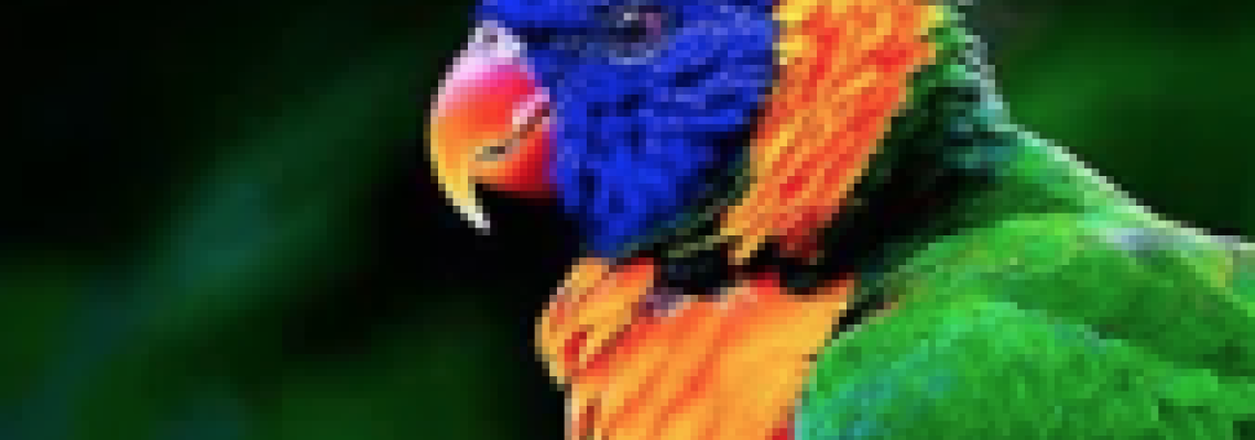 Managing SMART Outcomes