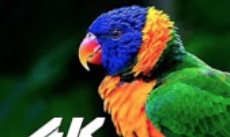 Managing SMART Outcomes